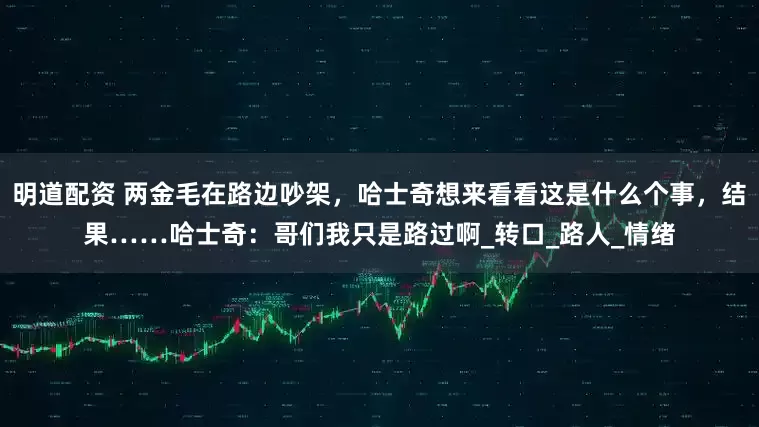 明道配资 两金毛在路边吵架，哈士奇想来看看这是什么个事，结果……哈士奇：哥们我只是路过啊_转口_路人_情绪