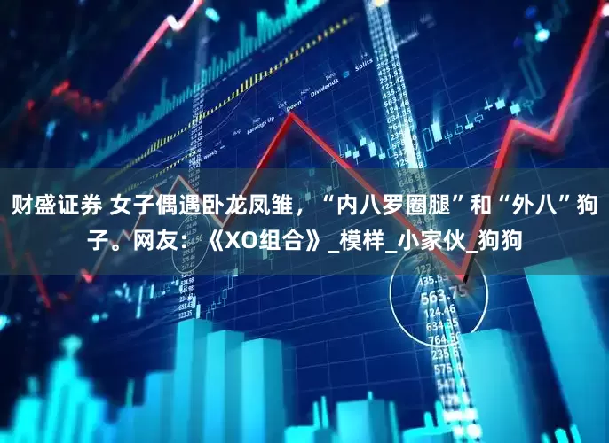 财盛证券 女子偶遇卧龙凤雏，“内八罗圈腿”和“外八”狗子。网友：《XO组合》_模样_小家伙_狗狗