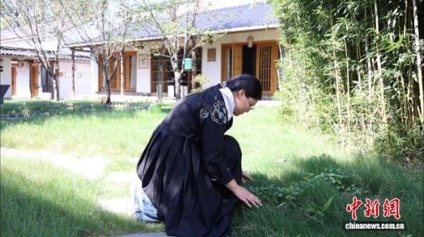 亿融策略 （走进中国乡村）径山“新茶事”：青年入乡焕新千年禅茶