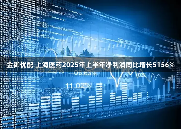 金御优配 上海医药2025年上半年净利润同比增长5156%